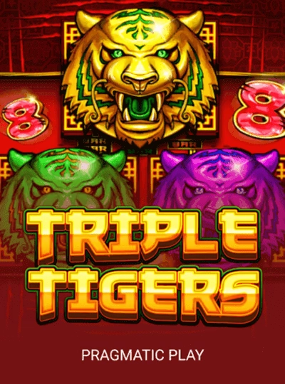 Cricket tournament cover at hi555